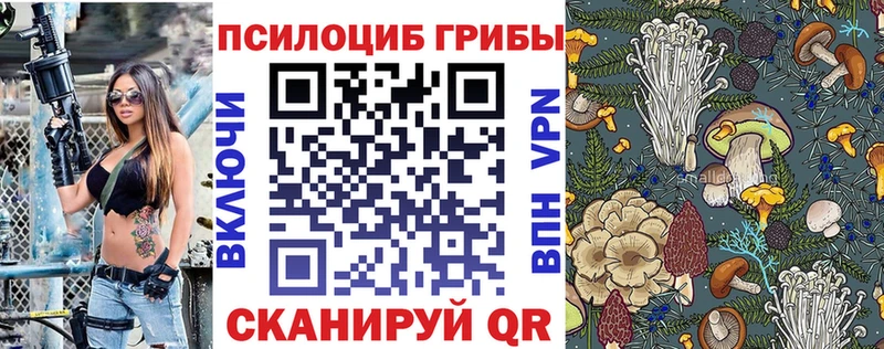 Псилоцибиновые грибы мицелий  Воронеж 